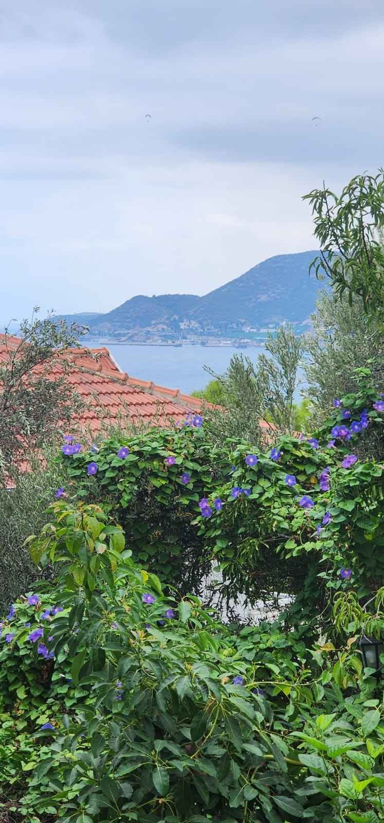 Wohnung zum Verkauf in Alanya Kale 23 Wohnung zum Verkauf in Alanya Kale 23