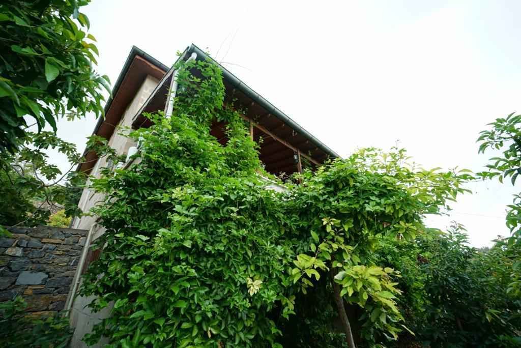 Bauernhof zum Verkauf in Alanya 29