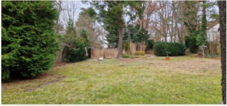 Berlin Villa kaufen - 4